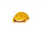 Albino Pacman Frogs - Image 3
