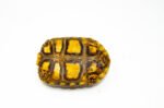 Brazilian Cherryhead Red Foot Tortoise Adult Female 11 - #BCRFTAF11